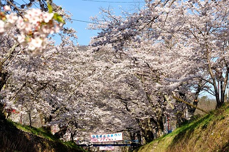 1004081640_DSC_2633