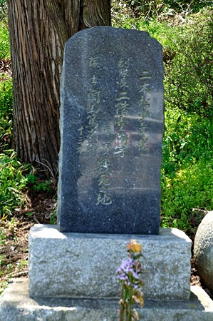 1005031243_DSC_3202