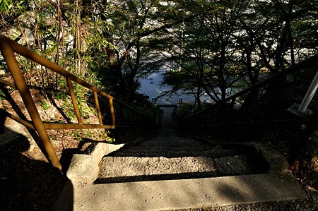 1005031549_DSC_3825
