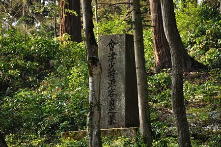 1005051547_DSC_5924
