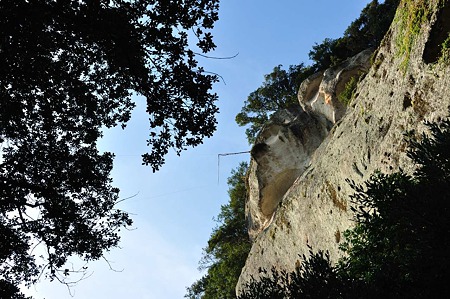1009181553_DSC_0671