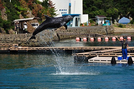 1009191417_DSC_1964