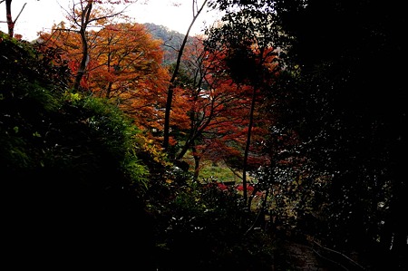 1011230730_DSC_4108