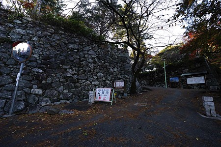 1011231502_DSC_4695