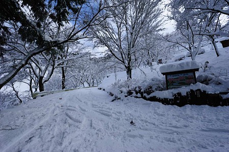 1101011357_DSC_6492