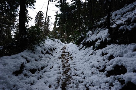 1101021227_DSC_7158