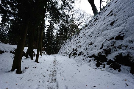 1101021236_DSC_7191