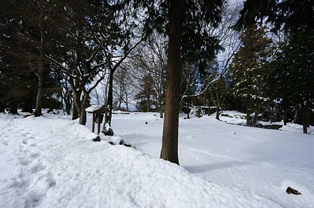 1101021248_DSC_7276