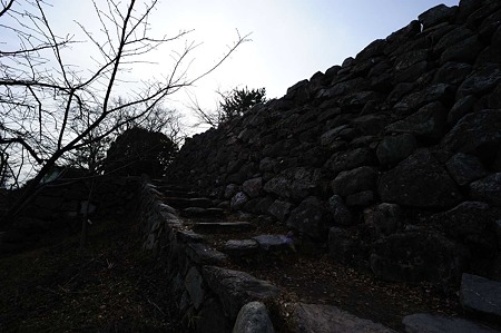 1101031230_DSC_7952