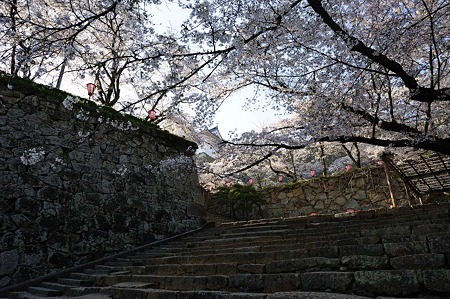 1104121644_DSC_9440