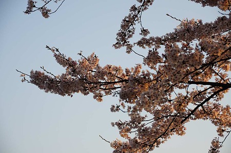 1104121800_DSC_5031