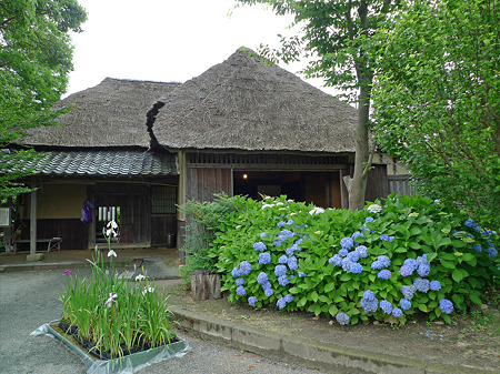 雨の宮地嶽神社(10)