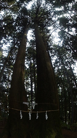 haguroyamajinnja_utunomiya_p1