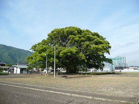 kamonoookusu5