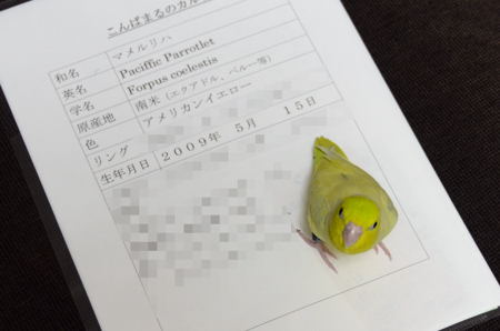 ぴーたん2歳