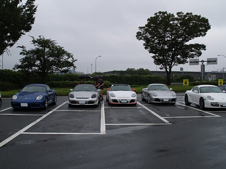 P7317699S
