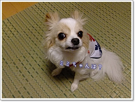 ミミちゃん
