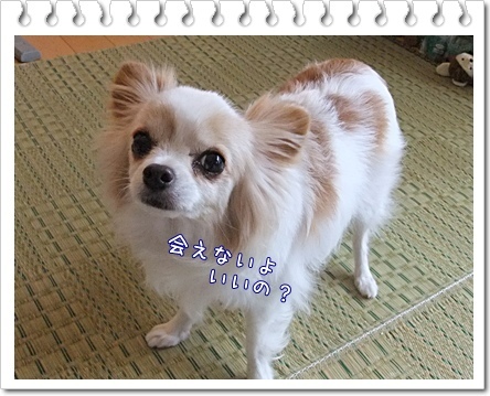 いいの?