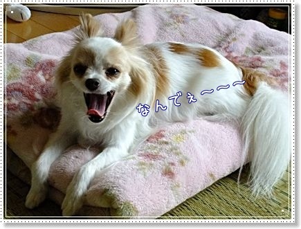 なんで~