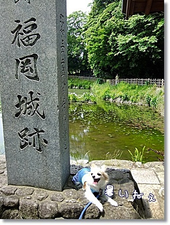 城跡