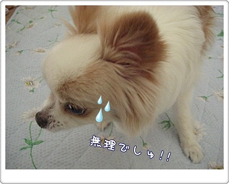 無理