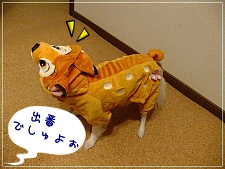 出番でしゅ