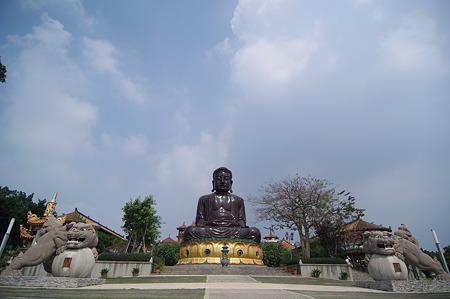 IMGP3619