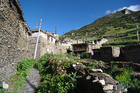 IMGP5843