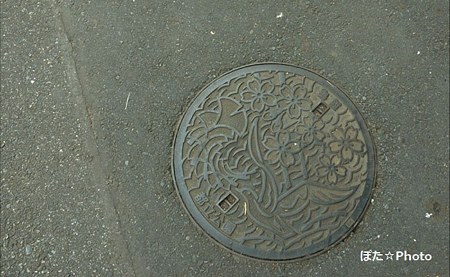東京都公園マンホール