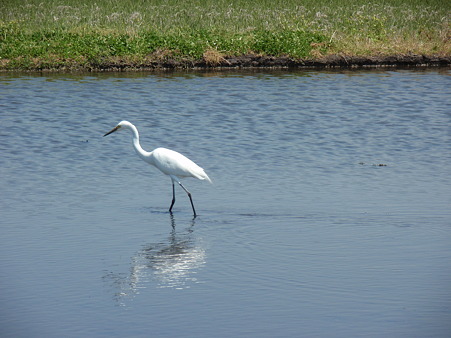 P5012080