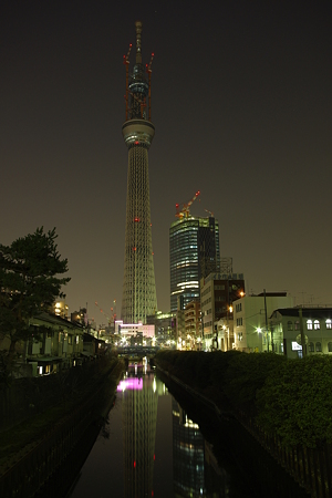 594m (2)