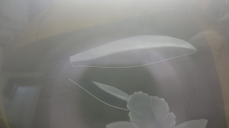 で、もう一方はがして葉全体ゴム右で。