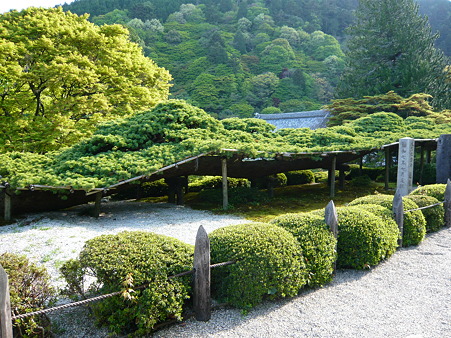 2011.5.8 094
