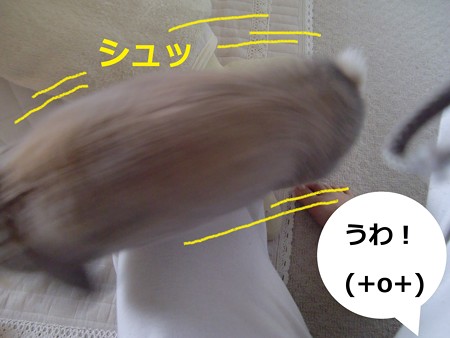 朝1