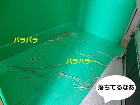 そうじ2