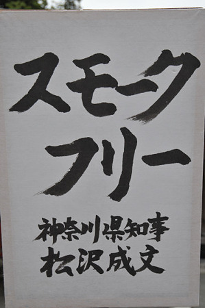 ぼんぼり祭り2010 09