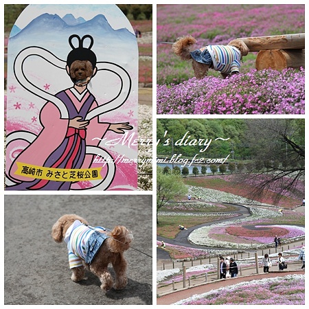 みさと公園