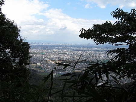 20101010 甲山森林公園033
