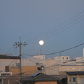 2012-星月陽