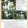 Photos: 20111014-迷子猫・みゃー子を探してにゃ！
